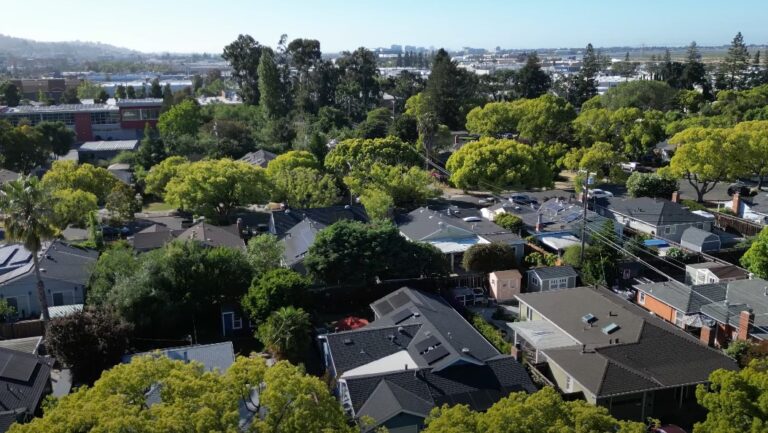 Drone view of San Mateo with abundant greenery and rooftops